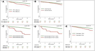 Electrocardiographic markers of atrial cardiomyopathy and risk of heart failure in the multi-ethnic study of atherosclerosis (MESA) cohort